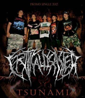 Critical Disaster : Tsunami